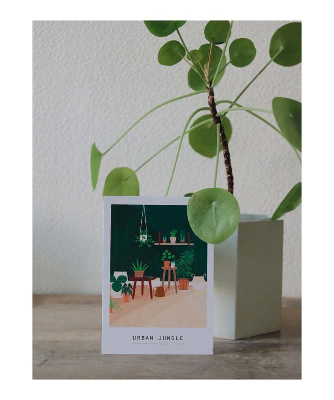 Carte Urban Jungle Pramax